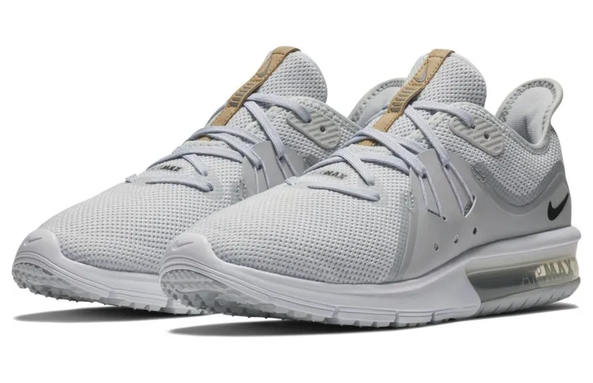 Nike Air Max Sequent 3 Pure Platinum Black-White (W)