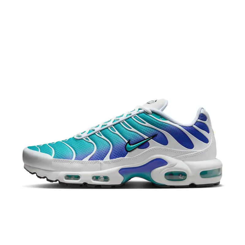 Nike Air Max Plus Aqua (DM0032-102)