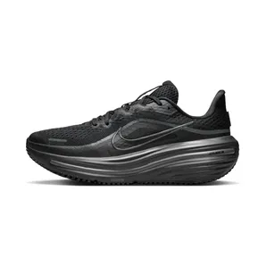 Nike Air Winflo 12 Black Dark Smoke Grey (HV9273-001)