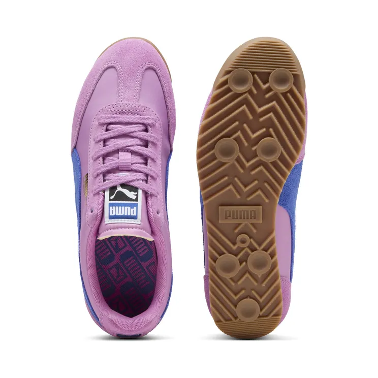 puma-arizona 398682_32