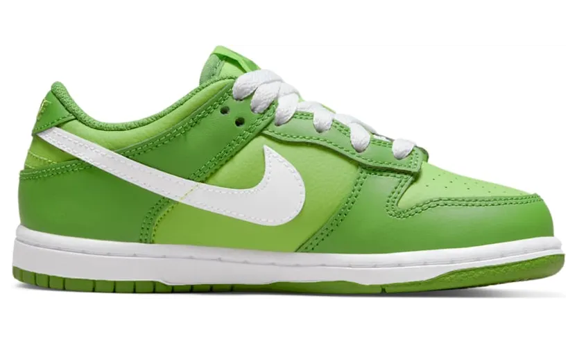 nike-dunk DH9756-301