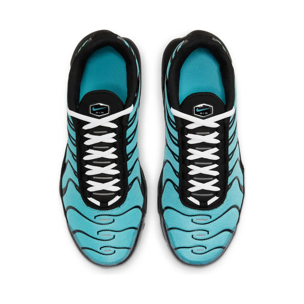 Nike Air Max Plus Older Kids’ Blue (CD0609-405)
