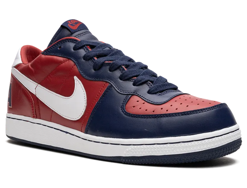 nike-terminator 310208-611