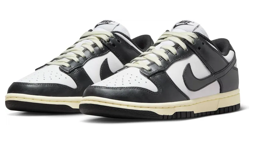 nike-dunk FQ8899-100