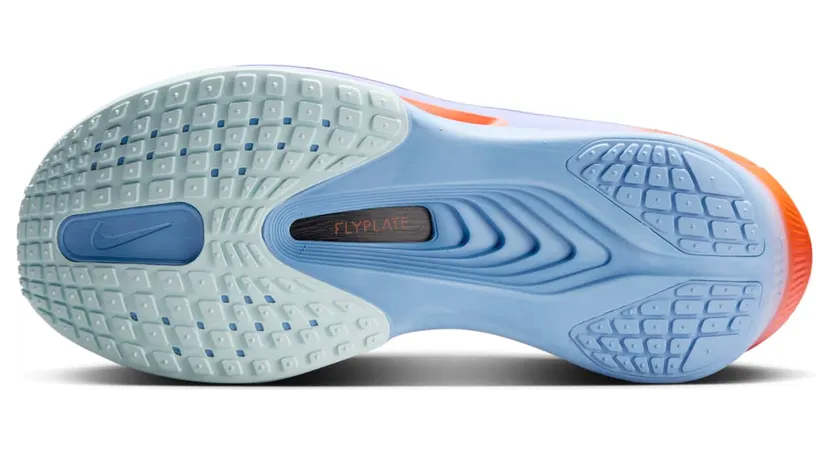 nike-zoom FN8455-400
