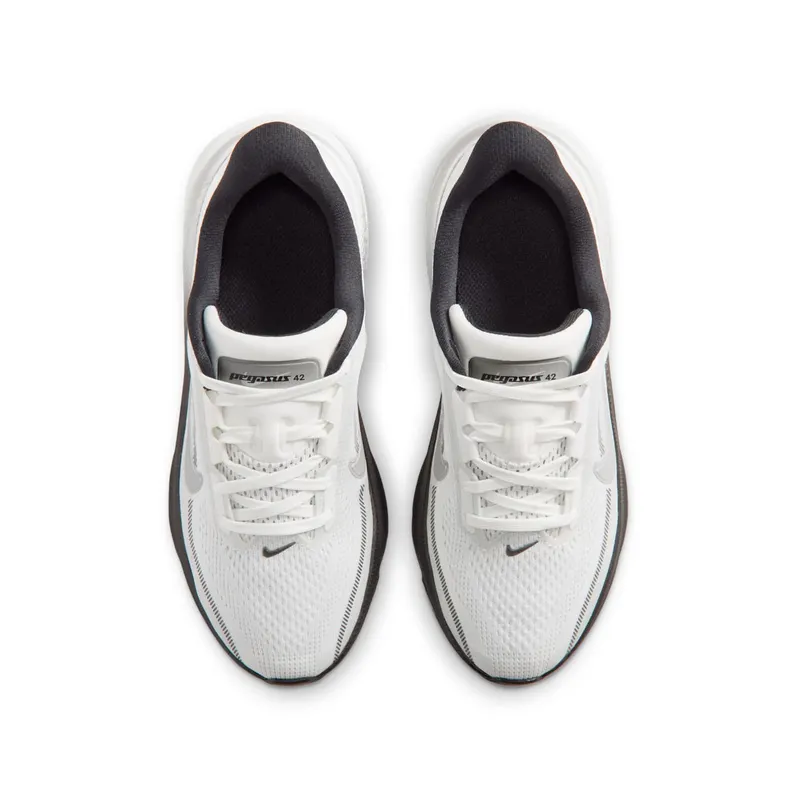 Nike Pegasus Summit White/Metallic Silver/Photon Dust/White (IR4146-100)