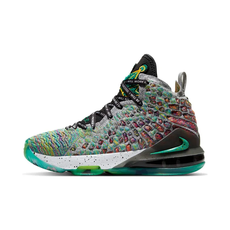 Nike LeBron 17 LJFF GS I Promise (CW2761-300)