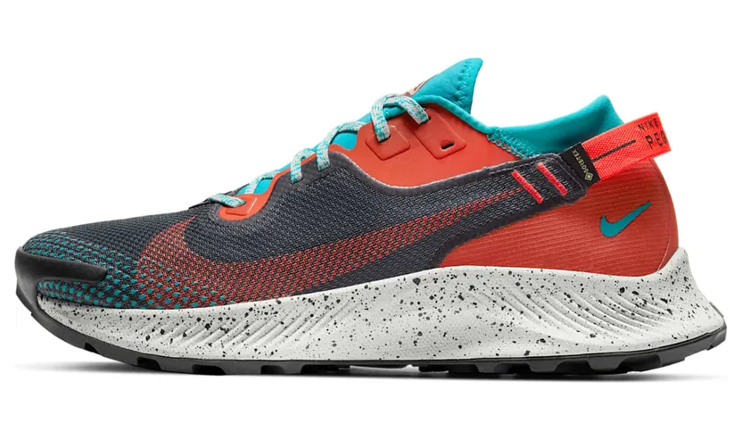 nike-air-pegasus DH0202-001