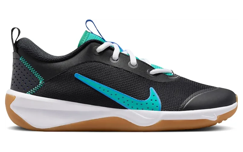 Nike Omni Multi-Court Black Blue Crystal Clear Emerald (DM9027-015)