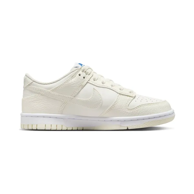 nike-dunk FV7472-100
