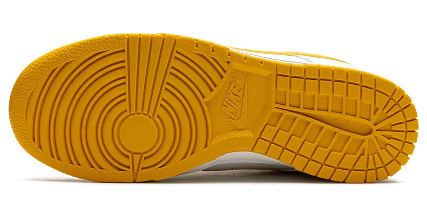 nike-dunk DV0831-110