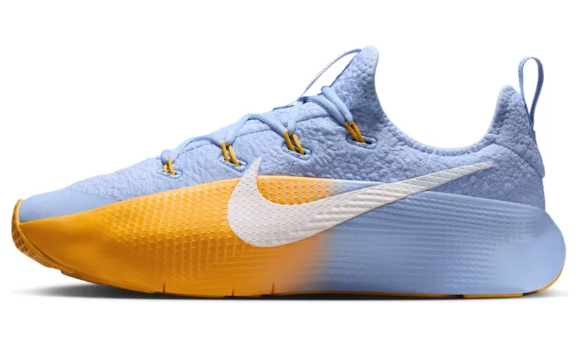 Nike LeBron TR 1 Aluminum University Gold (FJ6151-401)