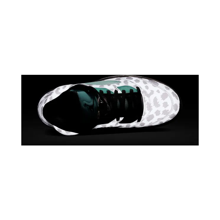 air-jordan-5 CN2932-100