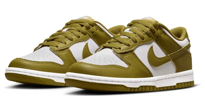 nike-dunk FB9109-108