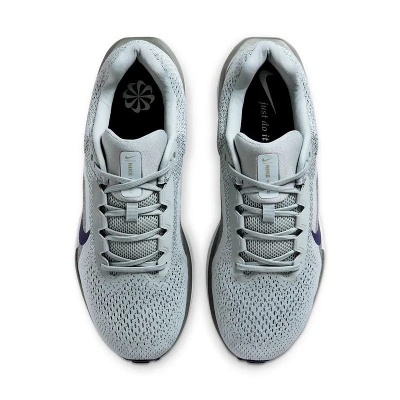 Nike Winflo 11 Light Pumice Iron Grey Light Silver Obsidian (FJ9509-003)