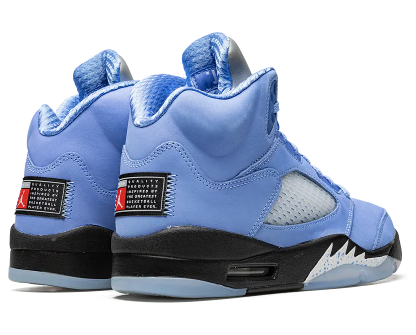 air-jordan-5 DV1310-401