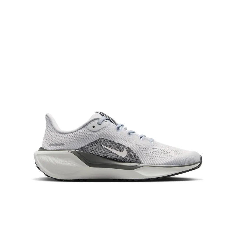 Nike Pegasus Pure Platinum/Anthracite/Light Silver/Sail (FN5041-006)