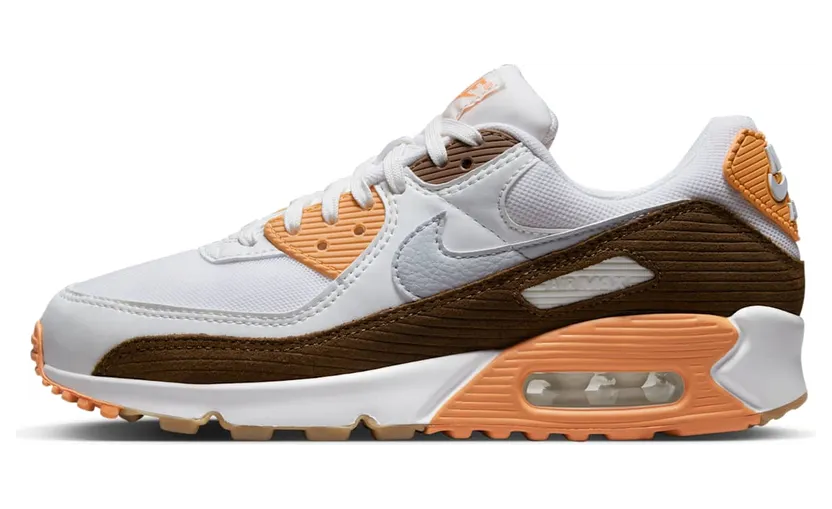 Nike Air Max 90 DZ5379-100