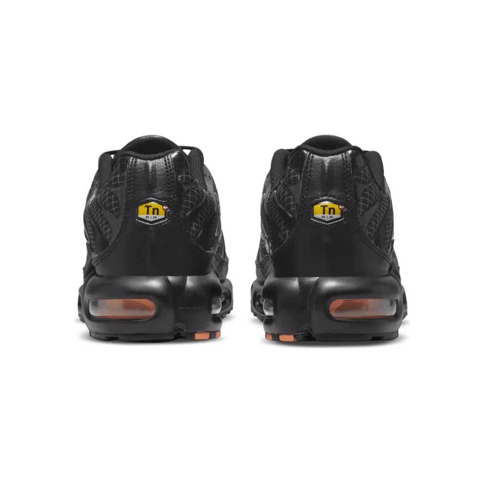 Nike Air Max Plus 3D Swoosh Black (DR0138-001)