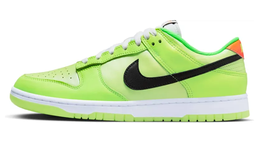 Nike Dunk Low FJ4610-702