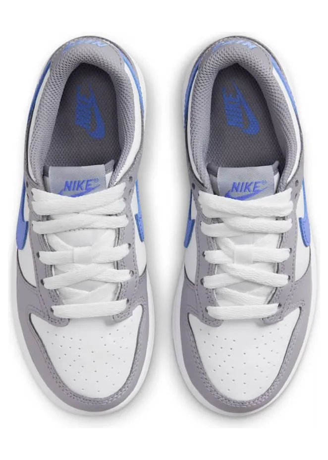 nike-dunk FB9108-121