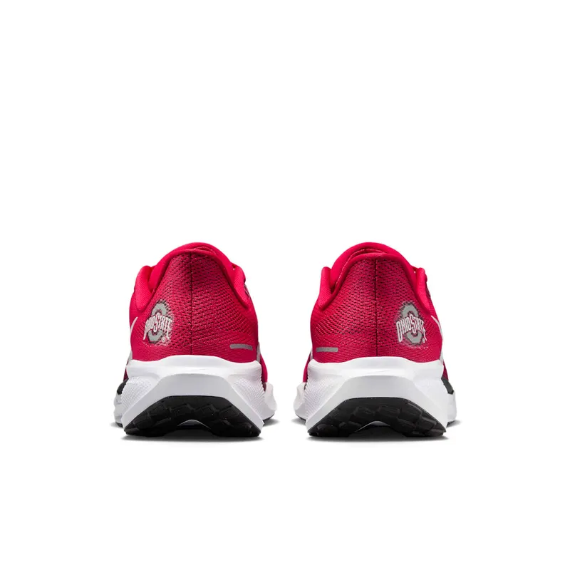 Nike Air Zoom Pegasus 41 “Ohio State” (IB3254-600)