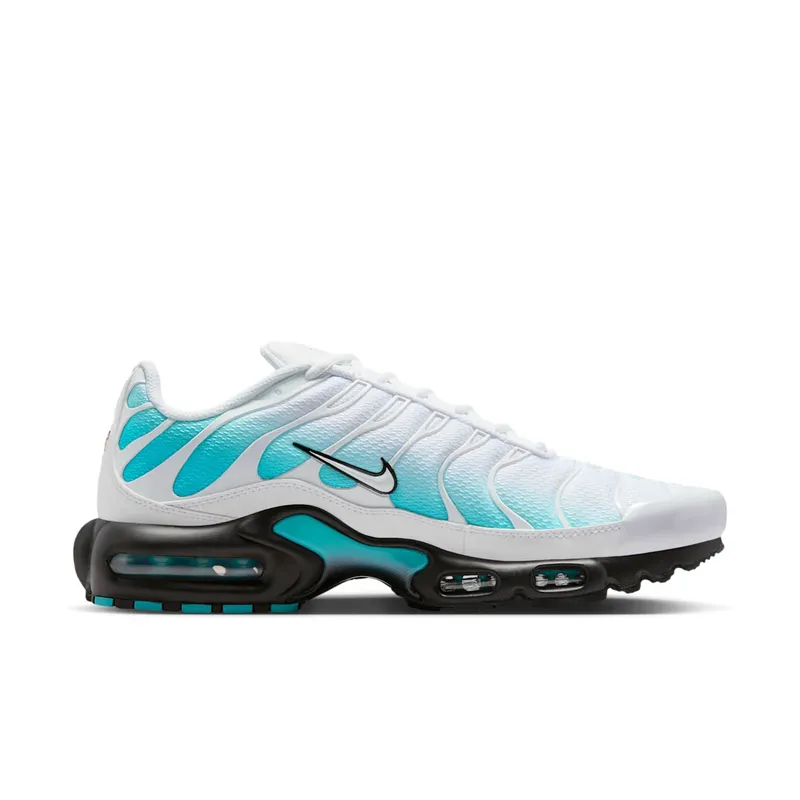 Nike Air Max Plus Dusty Cactus/Black/White (IU7539-345)