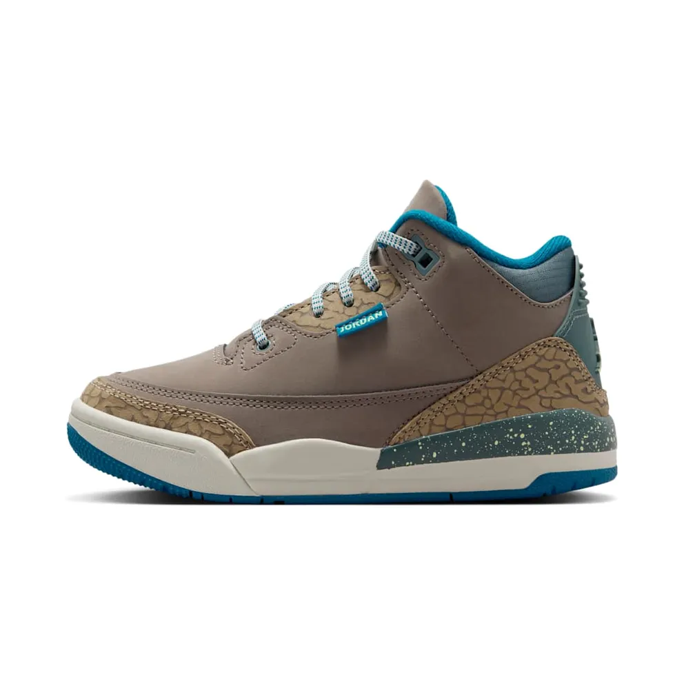 Air Jordan 3 PS “We Outside” (IB7064-001)