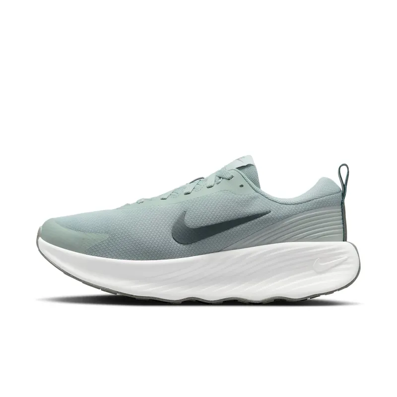 Nike Promina Light Pumice Dark Stucco Summit White Anthracite (FV5285-003)