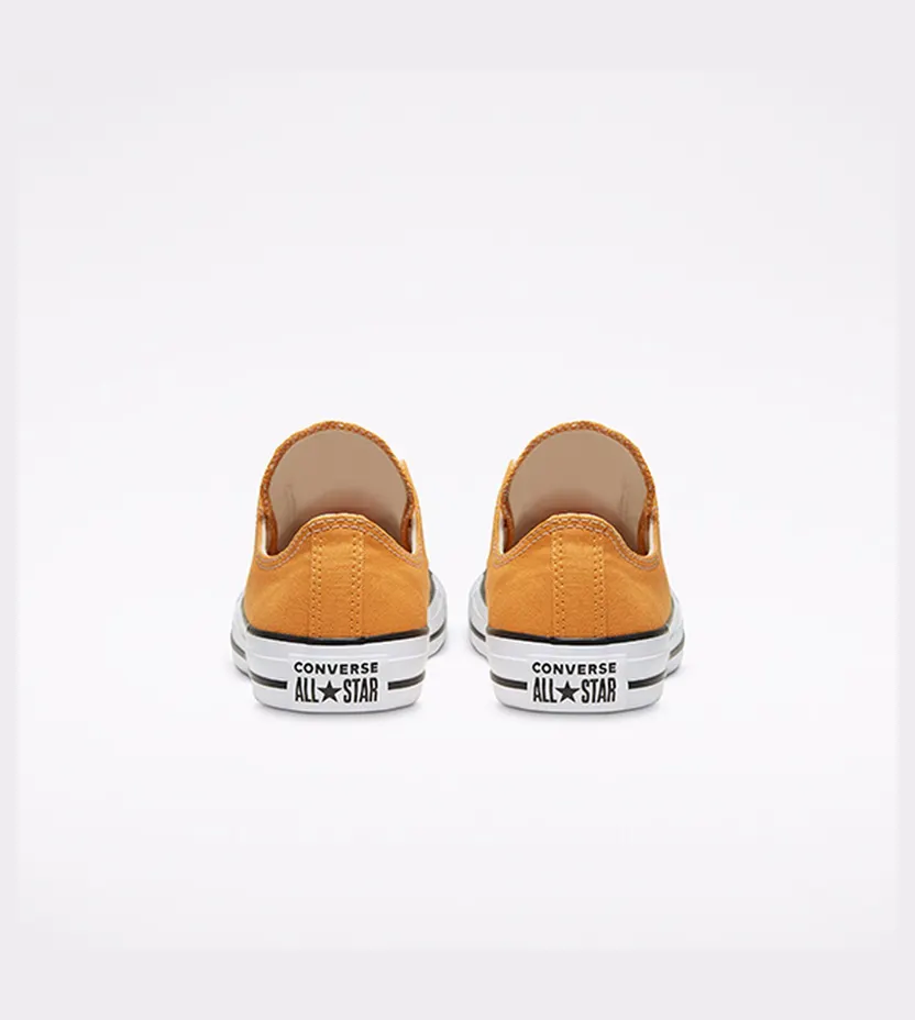 converse-chuck-taylor-all-star 166768C