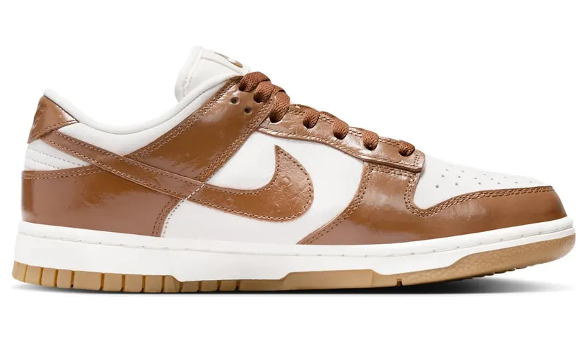 nike-dunk FJ2260-001