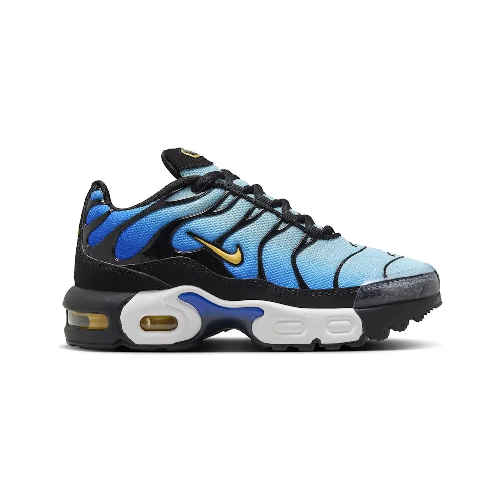 Nike Air Max Plus Hyper Blue (FZ0023-032)
