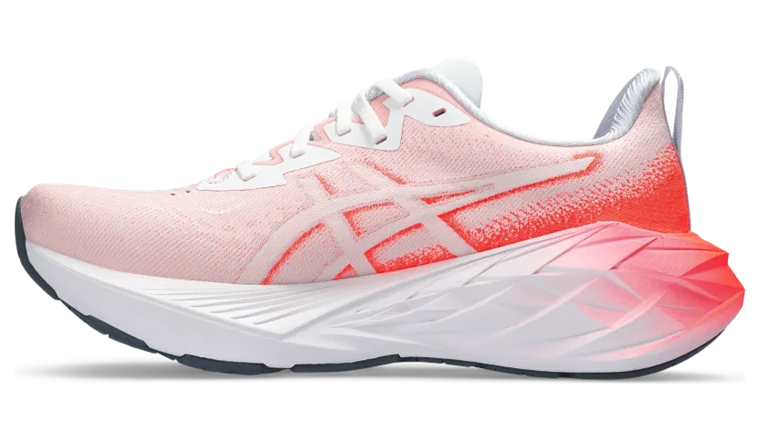asics-novablast 1011B845.100