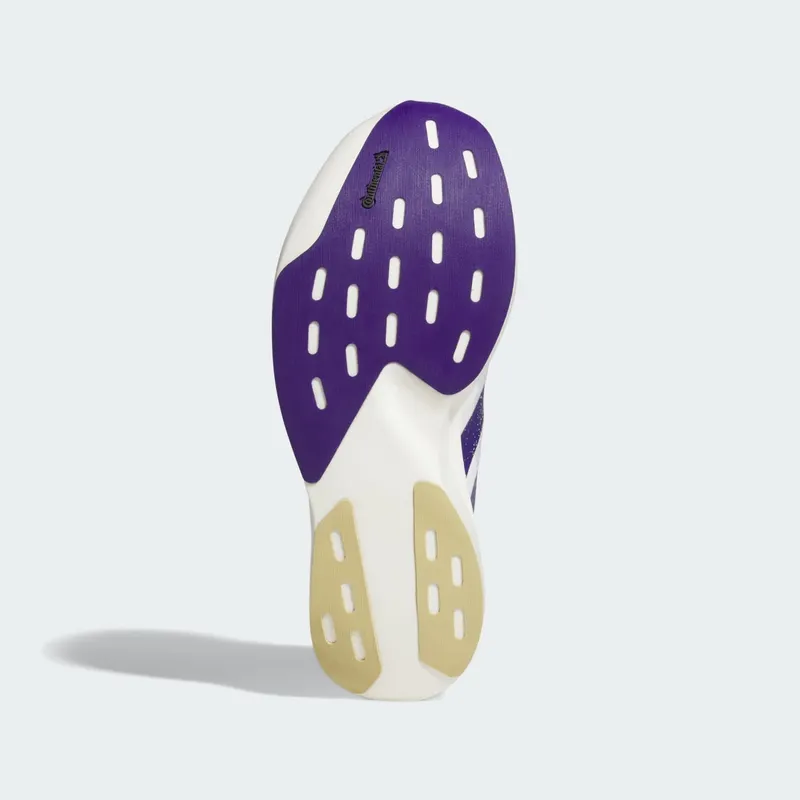 Adidas Adizero EVO SL “NCAA – University Of Washington” (JQ4578)
