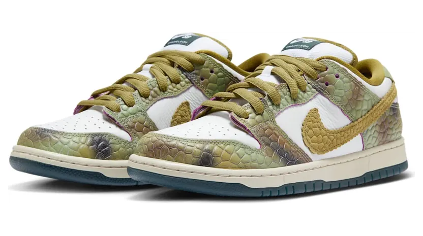 nike-dunk-sb HJ3386-300