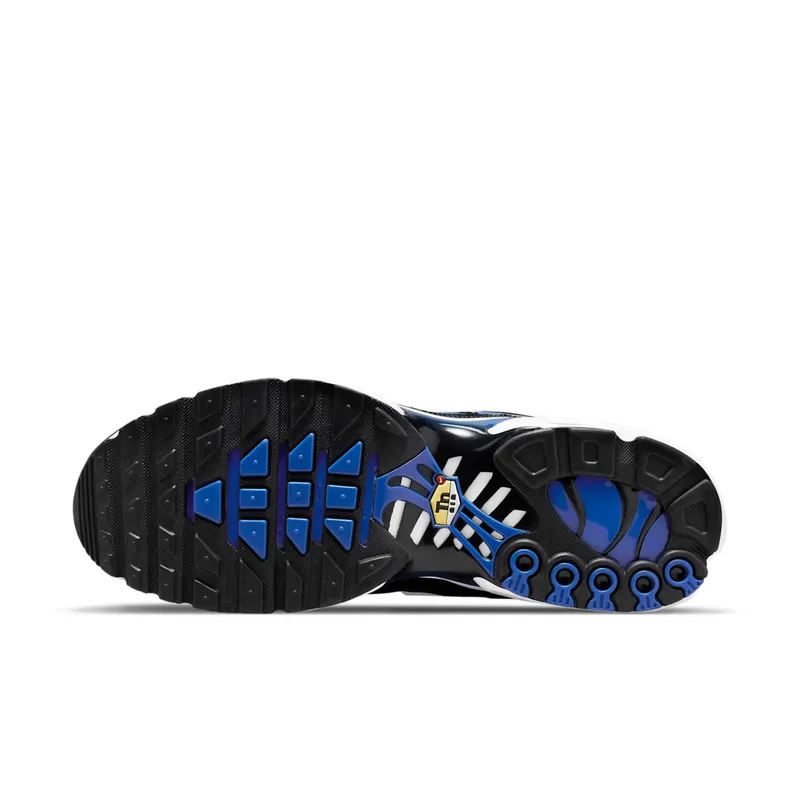 Nike Air Max Plus Black (DM8331-001)
