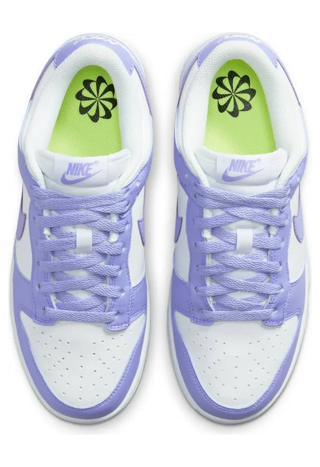 nike-dunk DN1431-103