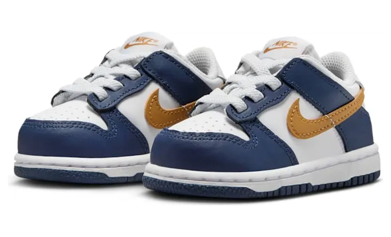 nike-dunk FB9107-111