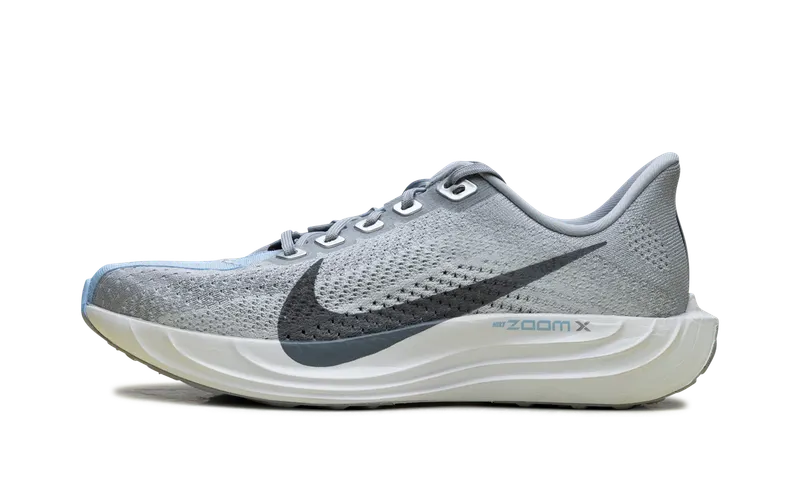 Nike ZoomX Pegasus Plus “Grey” (FQ7261-004)
