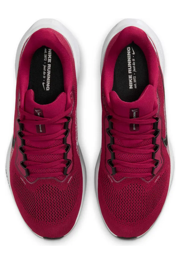 nike-air-zoom IB3246-600