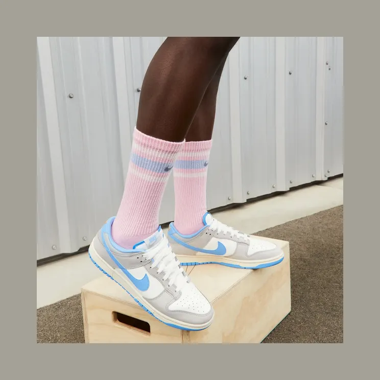nike-dunk FN7488-133