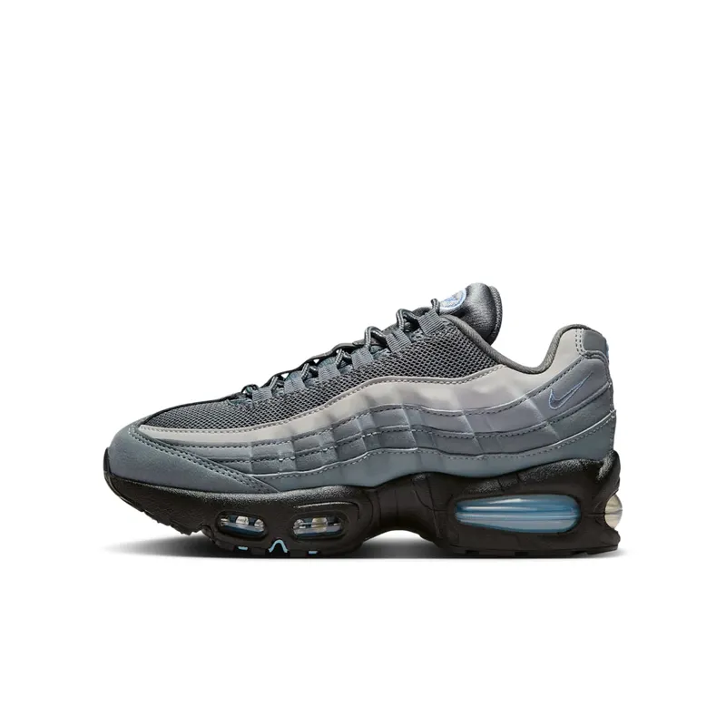 Nike Air Max 95 Cool Grey/Psychic Blue/Wolf Grey/Cool Grey (IH0631-001)