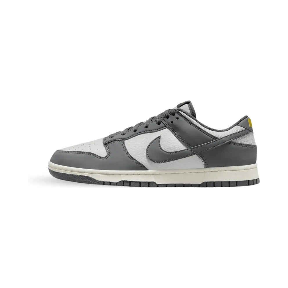 Nike Dunk Low Next Nature Iron Grey (FZ4621-001)