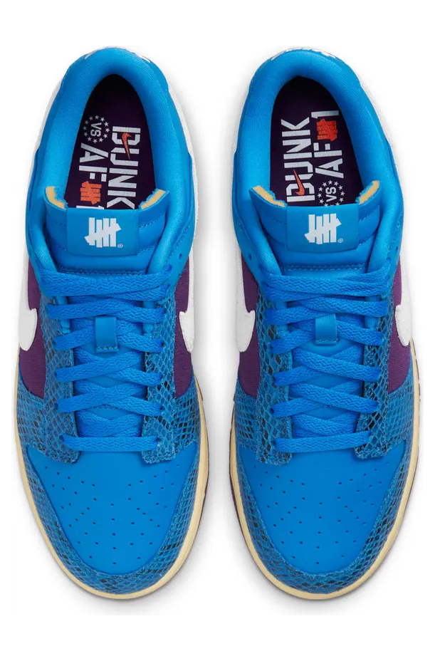 nike-dunk DH6508-400