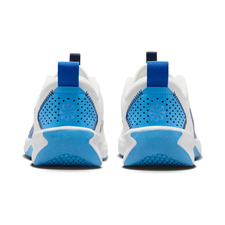 nike-omni-multi-court DM9027-108