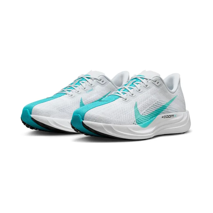 nike-air-pegasus FQ7262-004
