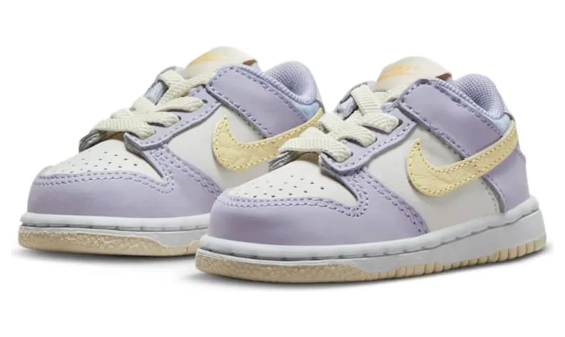 nike-dunk FJ4643-536