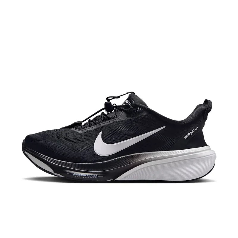 Nike Pegasus Black (IH1850-001)