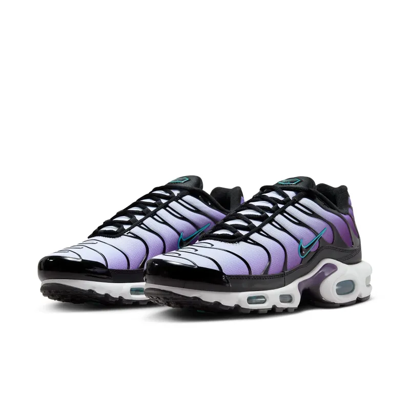 Nike Air Max Plus Reverse Grape (FQ2415-500)