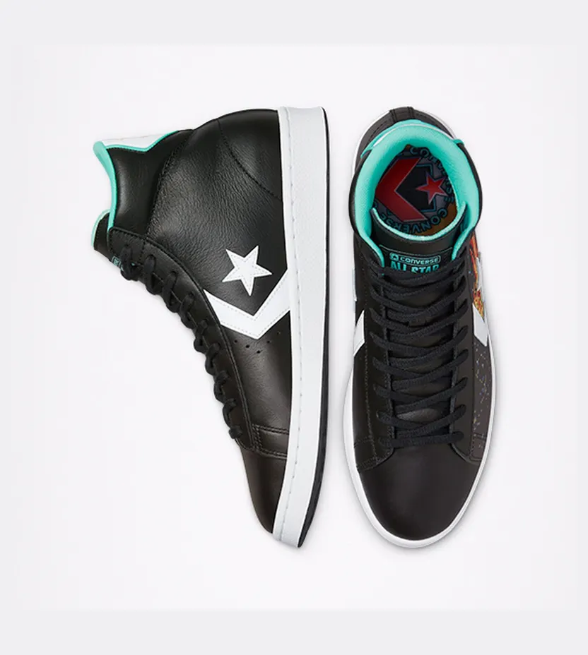 converse-pro-leather 171313C
